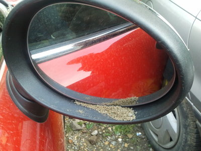 2011-06-03 19.42.05.jpg