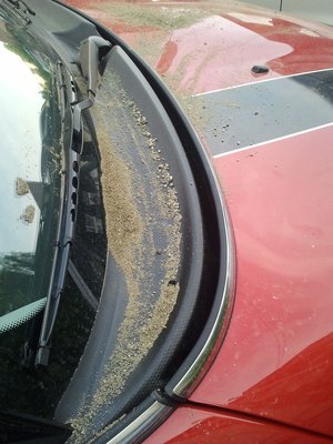 2011-06-03 19.42.23.jpg