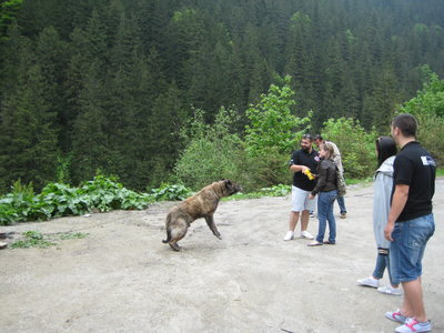 IMG_5135.JPG