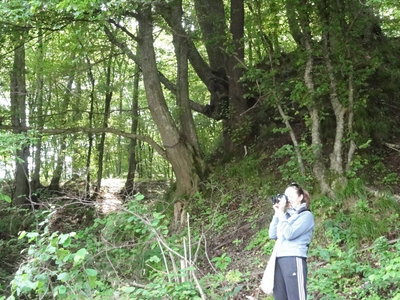 DSC05282.JPG