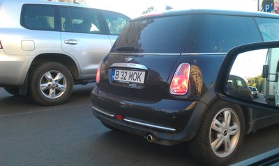 IMAG0230.jpg