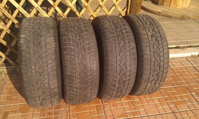 IMAG0308.jpg