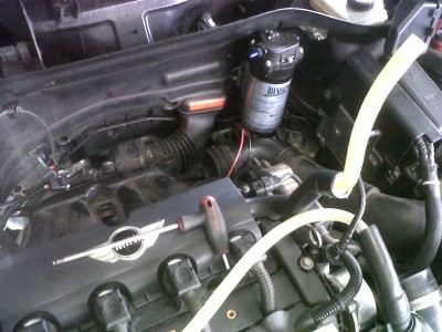 IMG00065-20111102-1224.jpg
