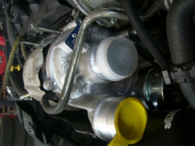 DSCI5875.JPG