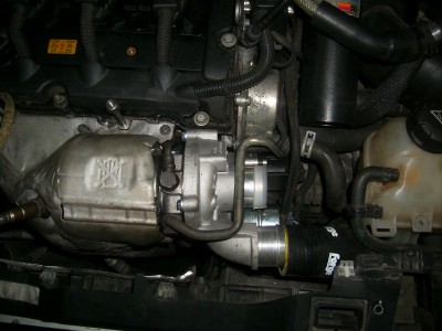DSCI5873.JPG