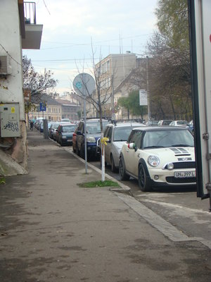 003.JPG
