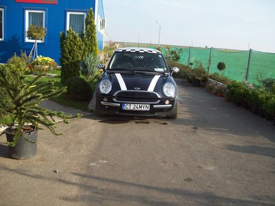 Picture 002.jpg