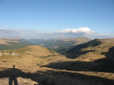 IMG_4235.jpg